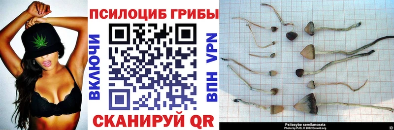 Псилоцибиновые грибы MAGIC MUSHROOMS Батайск